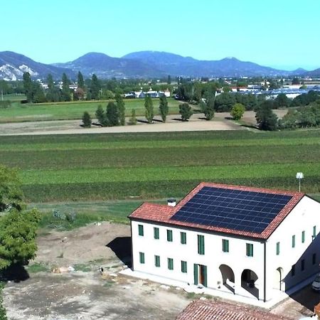 Ecofriendly House Colli Euganei Villa San Pietro Viminario Eksteriør billede